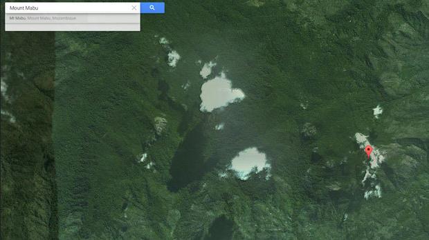 hutan hujan penemuan google forest